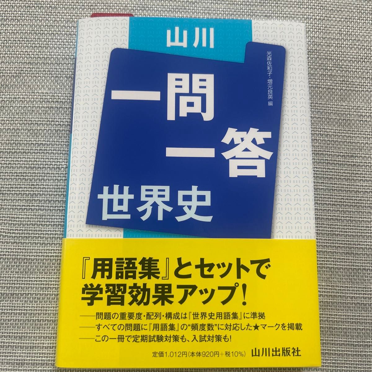 山川出版社 一问一答 世界史 光森佐和子 増元良英 编　（有铅笔标记）