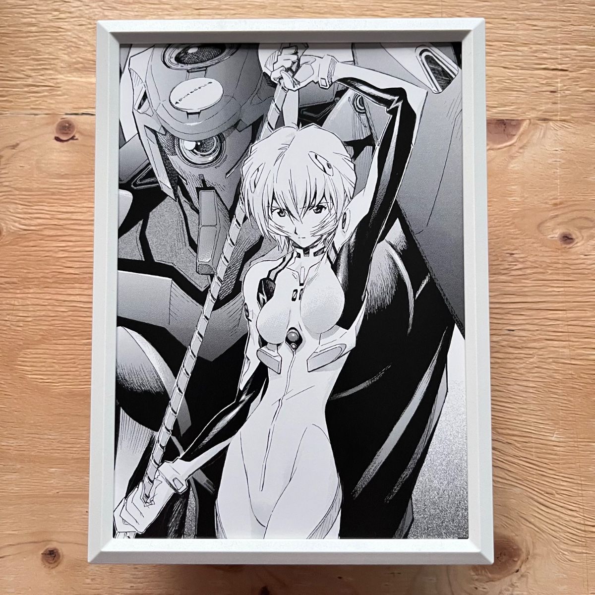 ⑰ B6画幅 新世纪福音战士 贞本义行 双面设计 带框装裱 EVANGELION 绫波零·明日香 黑白画框可选