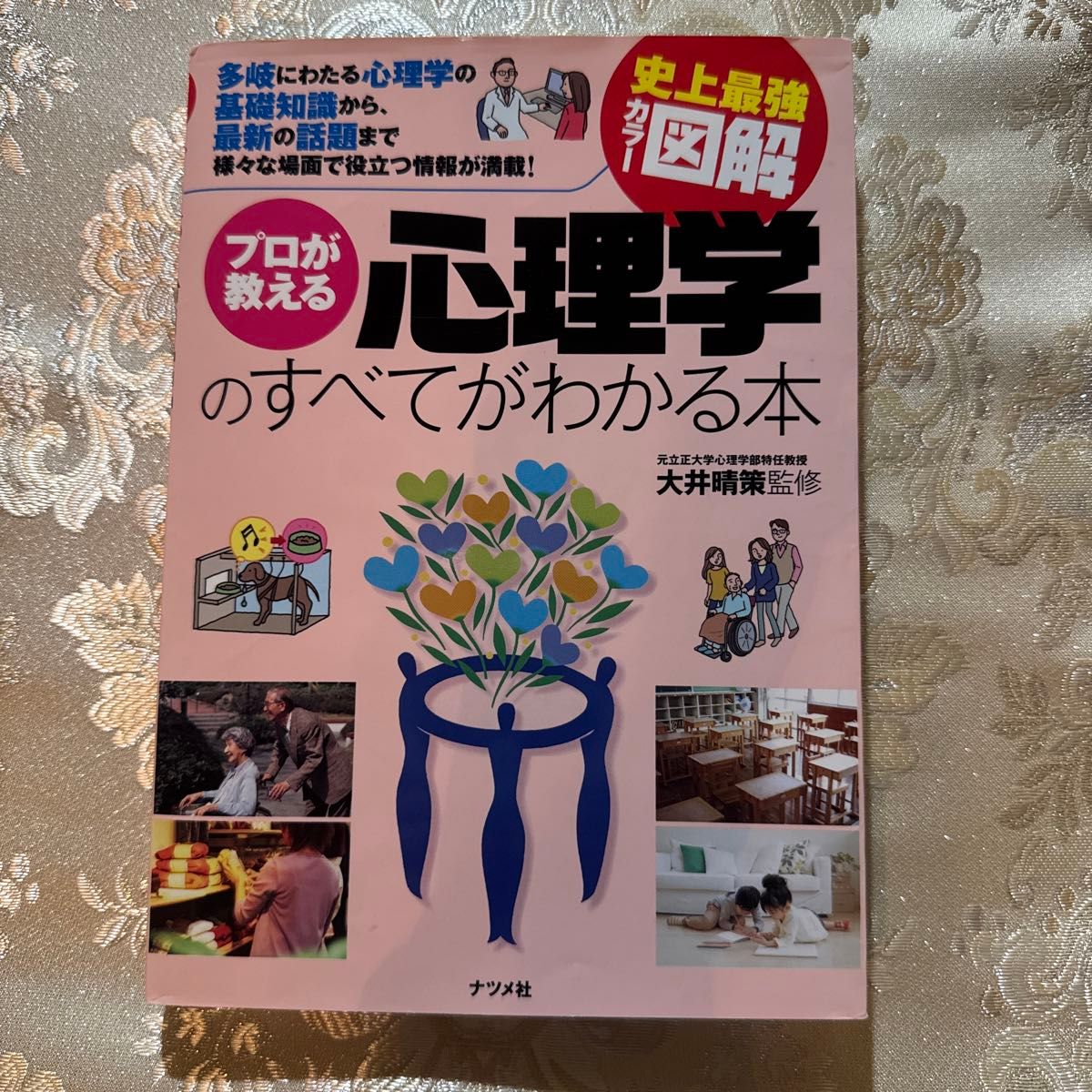 专业人士教你全面掌握心理学——史上最强彩色图解 大井晴策