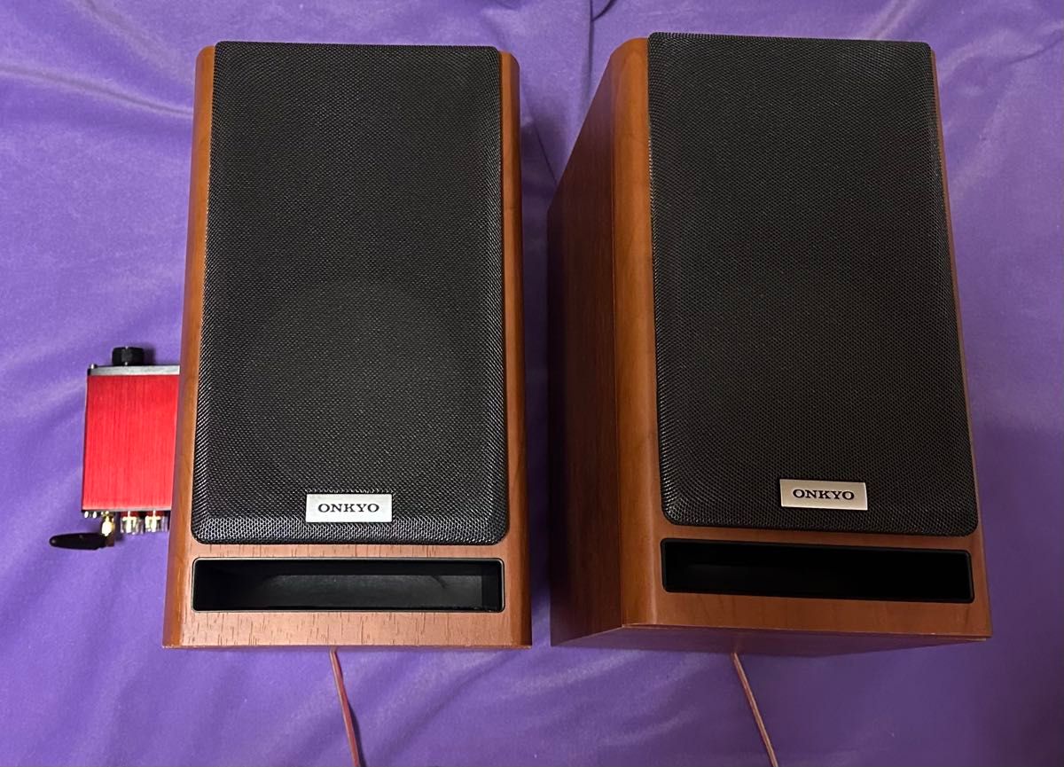 ONKYO D-NFR7 一对，NOBSOUND NS-12G