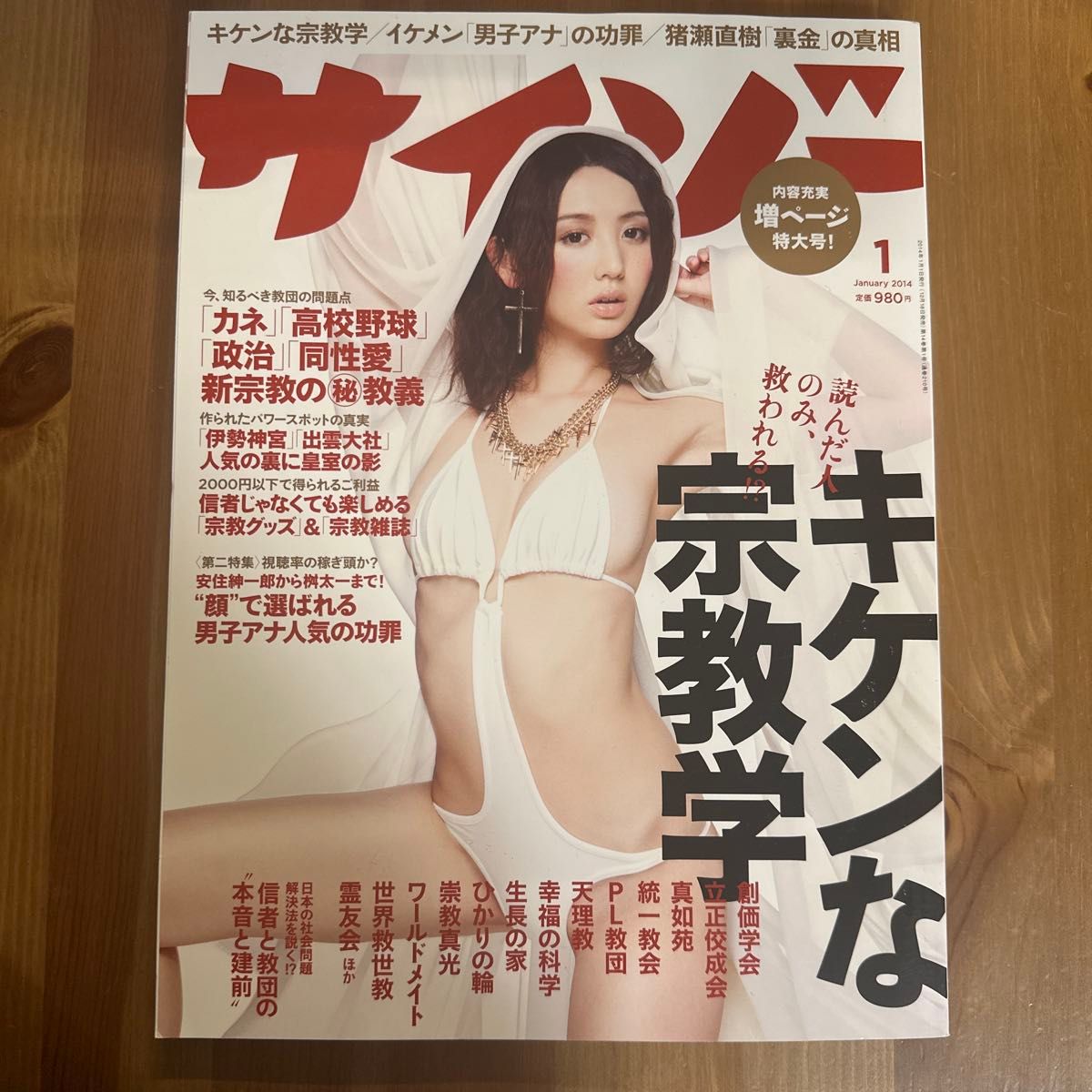 SAIZO 2014年1月号 危险的宗教学 猪濑直树 黑金真相