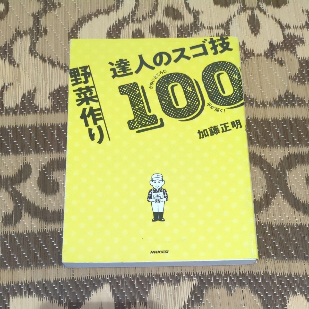 野菜作り達人のスゴ技１００　かゆいところに手が届く！ （かゆいところに手が届く！） 加藤正明／著